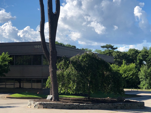 South Braintree Business Park IMG 3456